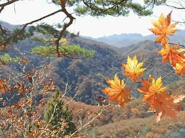 罗马诺：阿莱格里本来有机会在欧冠决赛后执教国米，但他选择米兰
